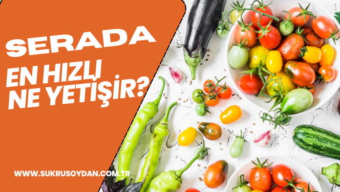 serada en hızlı yetişen sebze meyveler